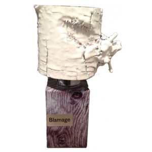 Новый унисекс аромат Nasomatto Blamage выпущен в 2014 году.
